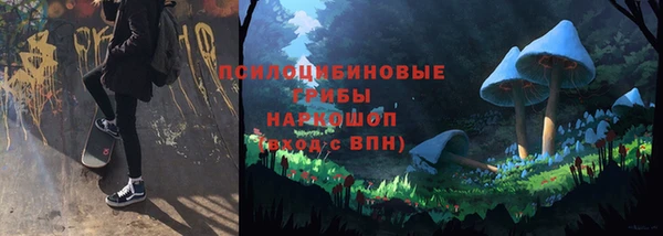 ГАЛЛЮЦИНОГЕННЫЕ ГРИБЫ Беломорск