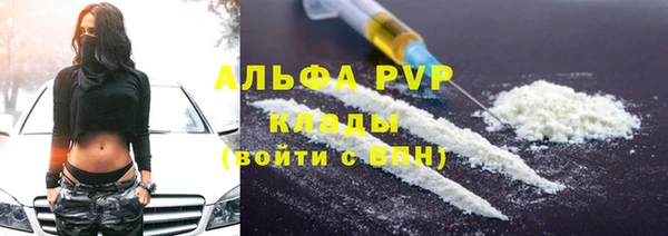 ГАЛЛЮЦИНОГЕННЫЕ ГРИБЫ Беломорск