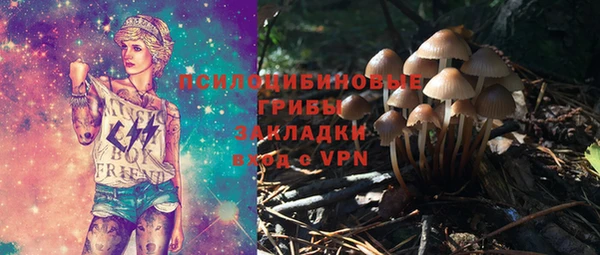 ГАЛЛЮЦИНОГЕННЫЕ ГРИБЫ Беломорск