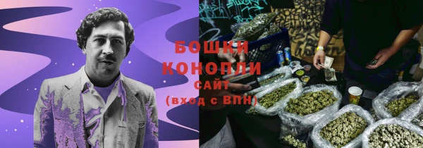 ГАЛЛЮЦИНОГЕННЫЕ ГРИБЫ Беломорск
